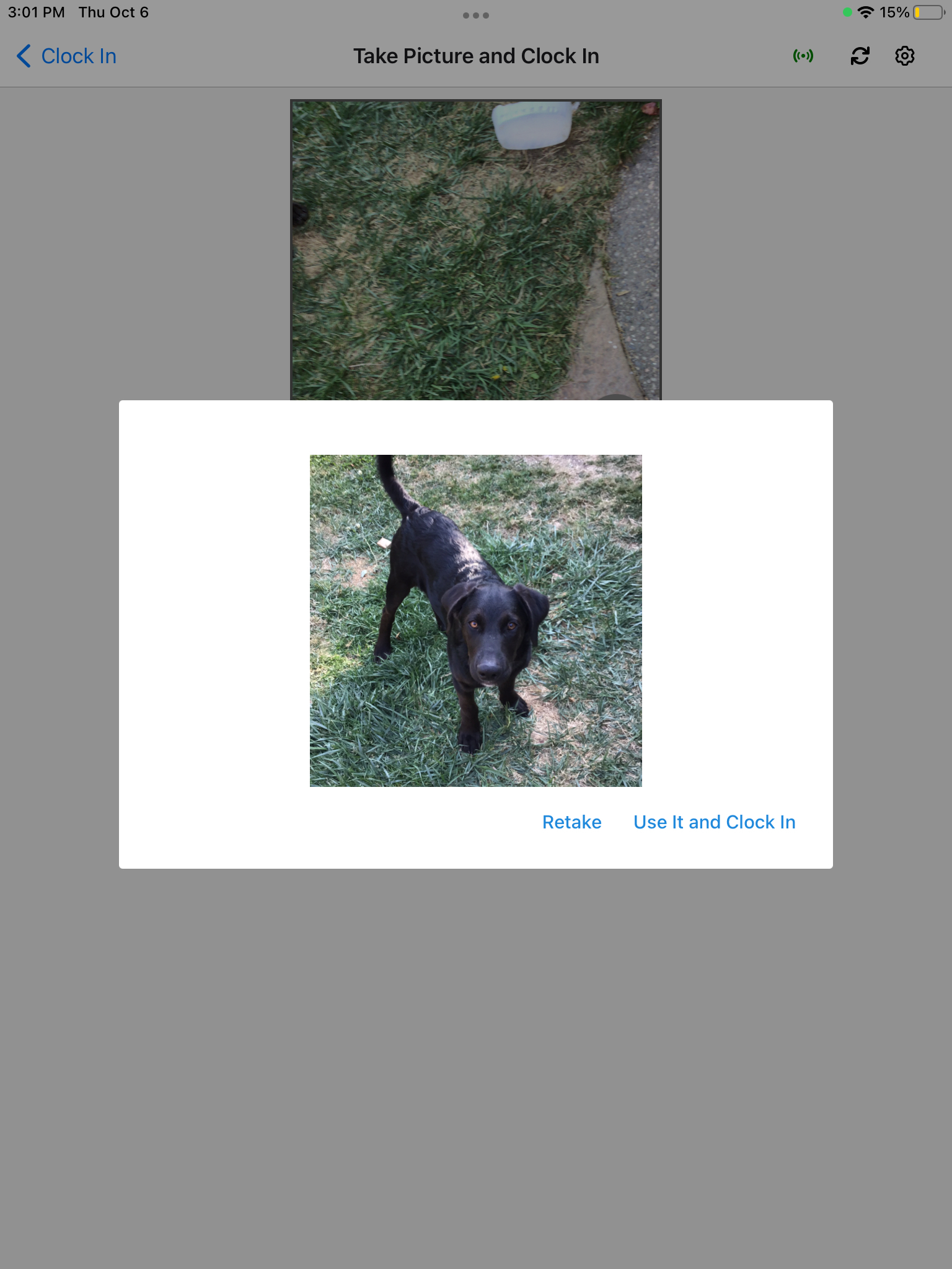 IMG_0031.PNG